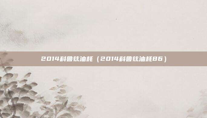 2014科鲁兹油耗(2014科鲁兹油耗86)