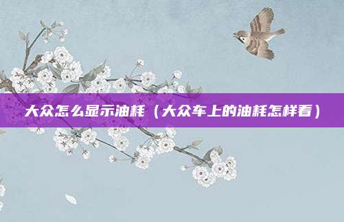 大众怎么显示油耗（大众车上的油耗怎样看）