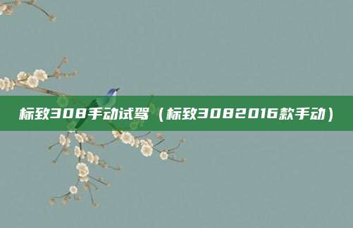 标致308手动试驾(标致3082016款手动)