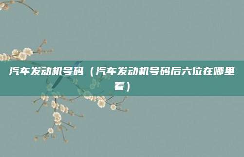 汽车发动机号码（汽车发动机号码后六位在哪里看）
