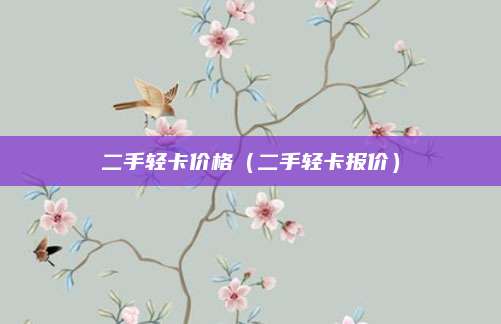 二手轻卡价格(二手轻卡报价)