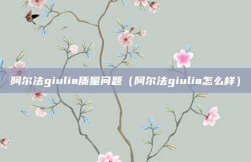 阿尔法giulia质量问题（阿尔法giulia怎么样）