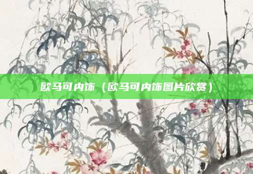 欧马可内饰(欧马可内饰图片欣赏)