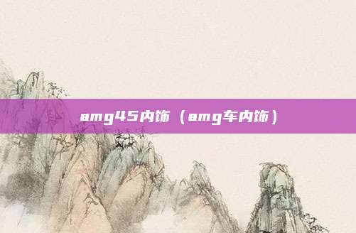 amg45内饰(amg车内饰)