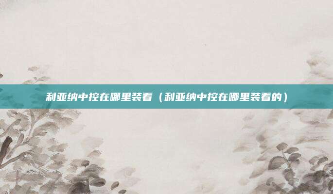 利亚纳中控在哪里装着(利亚纳中控在哪里装着的)