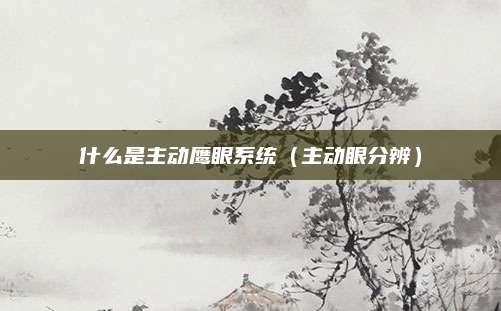 什么是主动鹰眼系统(主动眼分辨)