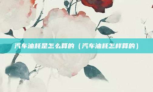 汽车油耗是怎么算的(汽车油耗怎样算的)