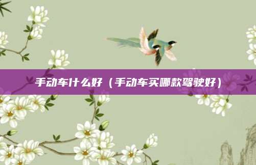 手动车什么好(手动车买哪款驾驶好)