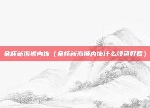 金杯新海狮内饰(金杯新海狮内饰什么颜色好看)
