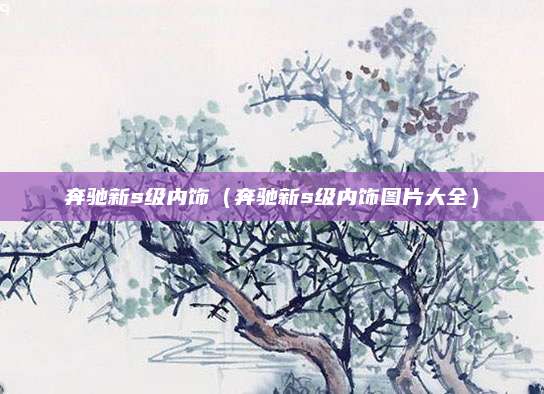奔驰新s级内饰(奔驰新s级内饰图片大全)
