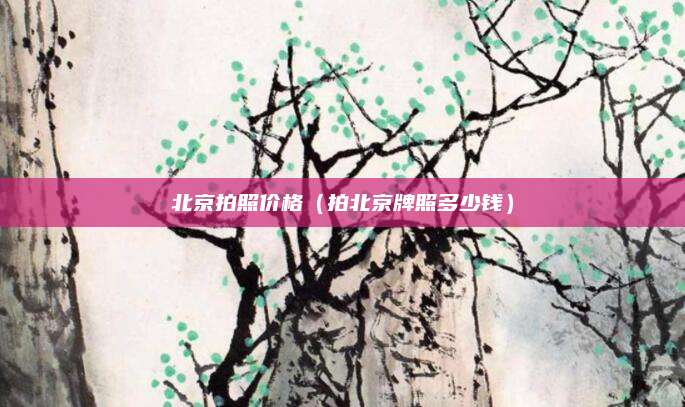 北京拍照价格(拍北京牌照多少钱)