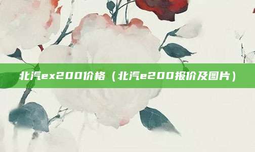 北汽ex200价格(北汽e200报价及图片)