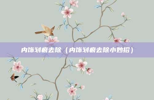 内饰划痕去除(内饰划痕去除小妙招)