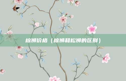 棕狮价格(棕狮和松狮的区别)
