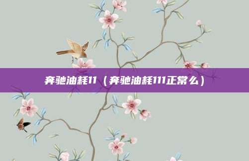 奔驰油耗11(奔驰油耗111正常么)