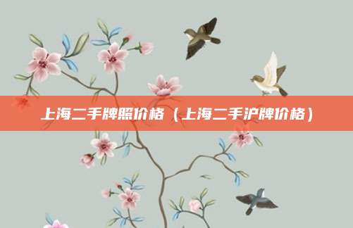 上海二手牌照价格(上海二手沪牌价格)