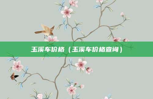 玉溪车价格(玉溪车价格查询)