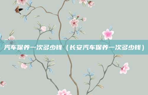 汽车保养一次多少钱(长安汽车保养一次多少钱)