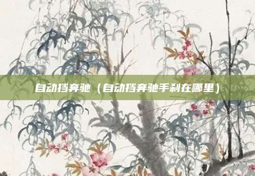 自动挡奔驰(自动挡奔驰手刹在哪里)