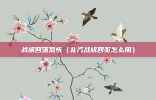 战旗四驱系统(北汽战旗四驱怎么用)