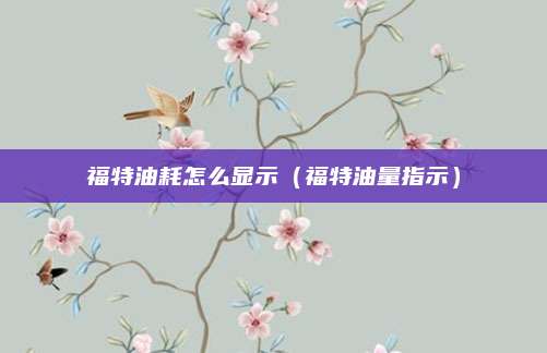 福特油耗怎么显示(福特油量指示)