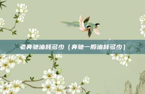 老奔驰油耗多少(奔驰一般油耗多少)