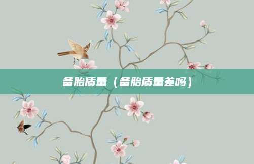 备胎质量(备胎质量差吗)