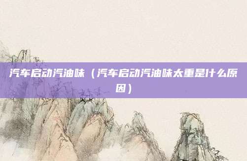 汽车启动汽油味(汽车启动汽油味太重是什么原因)
