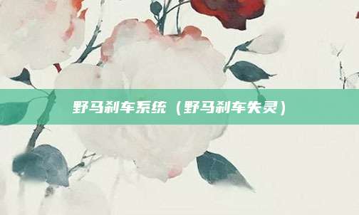 野马刹车系统(野马刹车失灵)