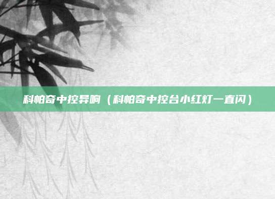 科帕奇中控异响(科帕奇中控台小红灯一直闪)