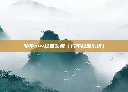 轿车suv稳定系统(汽车稳定系统)