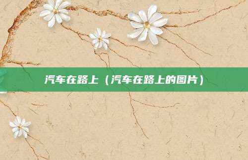汽车在路上(汽车在路上的图片)