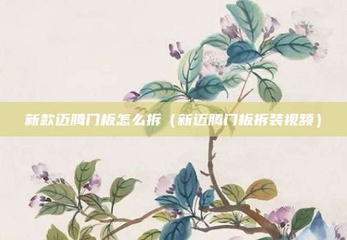 新款迈腾门板怎么拆(新迈腾门板拆装视频)