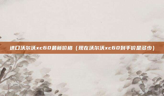 进口沃尔沃xc60最新价格(现在沃尔沃xc60到手价是多少)