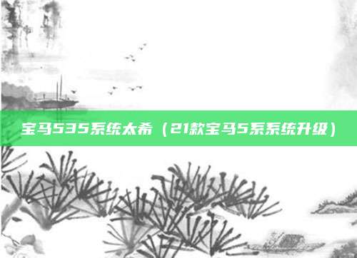 宝马535系统太希(21款宝马5系系统升级)