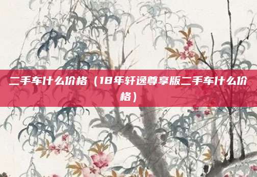 二手车什么价格(18年轩逸尊享版二手车什么价格)