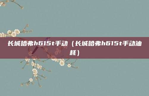 长城哈弗h615t手动(长城哈弗h615t手动油耗)