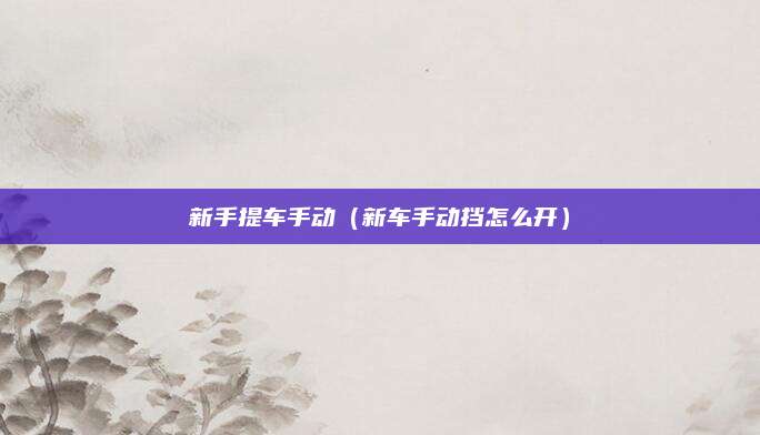 新手提车手动(新车手动挡怎么开)