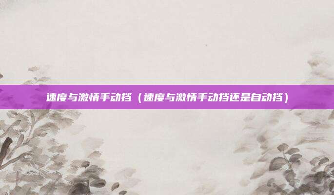 速度与激情手动挡(速度与激情手动挡还是自动挡)