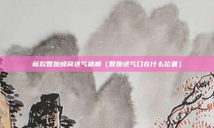 新款智跑蜂窝进气格栅(智跑进气口在什么位置)
