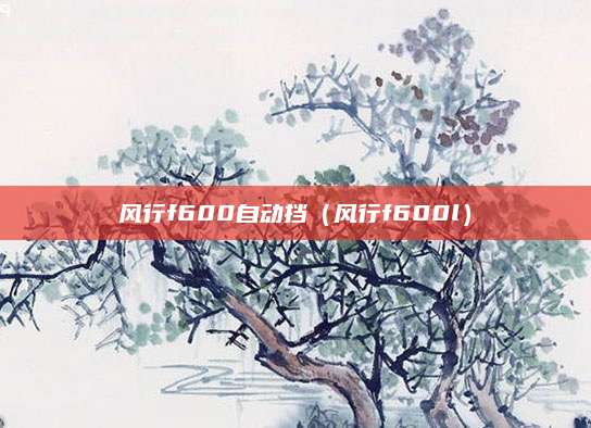 风行f600自动挡(风行f600l)