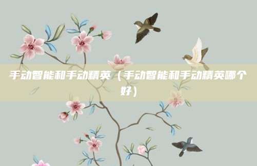 手动智能和手动精英(手动智能和手动精英哪个好)