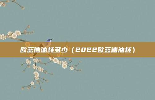 欧蓝德油耗多少（2022欧蓝德油耗）