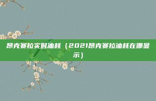 昂克赛拉实时油耗（2021昂克赛拉油耗在哪显示）