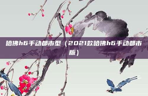 哈佛h6手动都市型(2021款哈佛h6手动都市版)