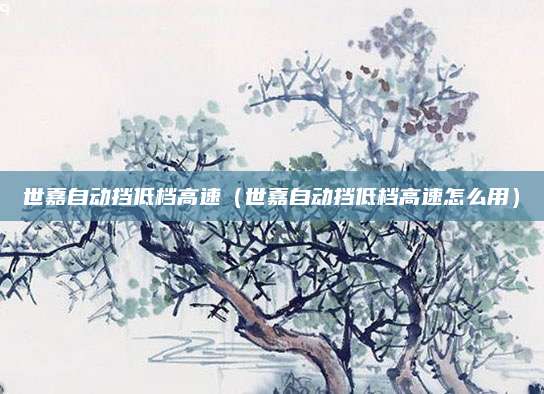 世嘉自动挡低档高速(世嘉自动挡低档高速怎么用)