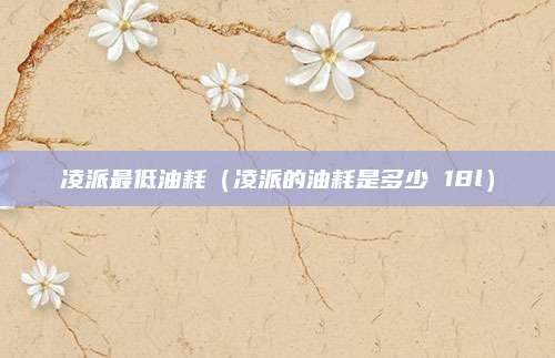 凌派最低油耗(凌派的油耗是多少 18l)