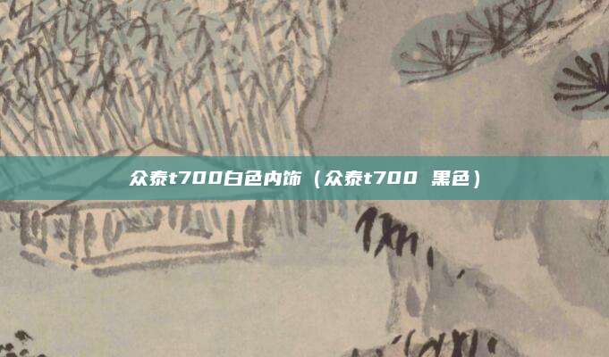 众泰t700白色内饰(众泰t700 黑色)