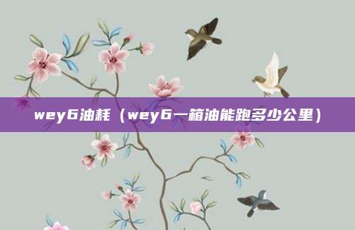 wey6油耗(wey6一箱油能跑多少公里)
