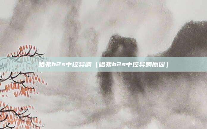 哈弗h2s中控异响(哈弗h2s中控异响原因)